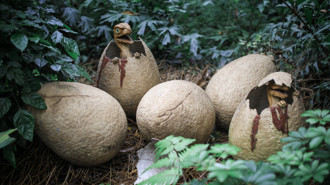 Zbulohet një specie e re dinozauri që ka jetuar 100 milionë vjet më parë