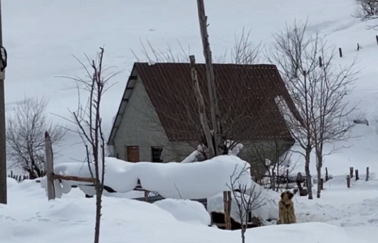 Lëpusha dhe Vermoshi, një javë pa energji elektrike