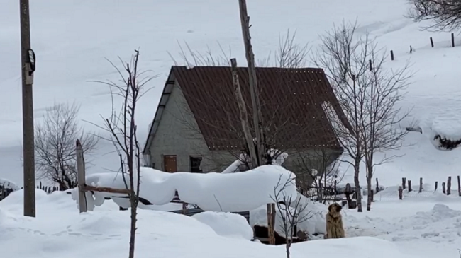 Lëpusha dhe Vermoshi, një javë pa energji elektrike