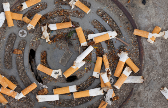 Bishtat e cigareve i kushtojnë botës 26 miliardë dollarë në vit dëme mjedisore