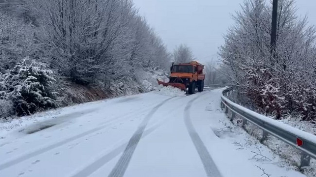 Zbardhen nga bora fshatrat e Korçës