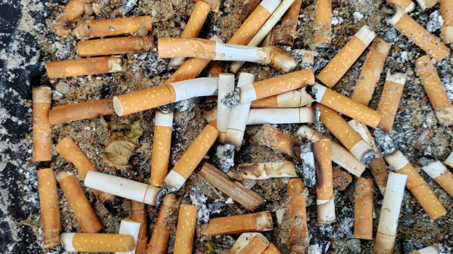 NJË ZBULIM SHUMË DOMETHËNËS/ Shkencëtarët kanë prodhuar bionaftë nga mbeturinat e cigareve