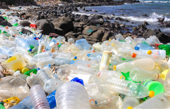 Rritja alarmante e ndotjes plastike në Mesdhe ngre shqetësime