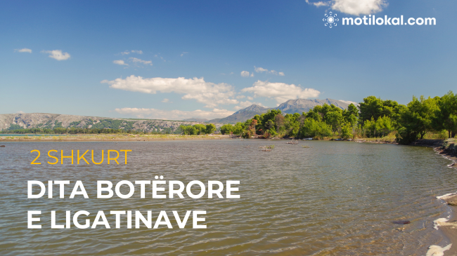 Sot Dita Botërore e Ligatinave