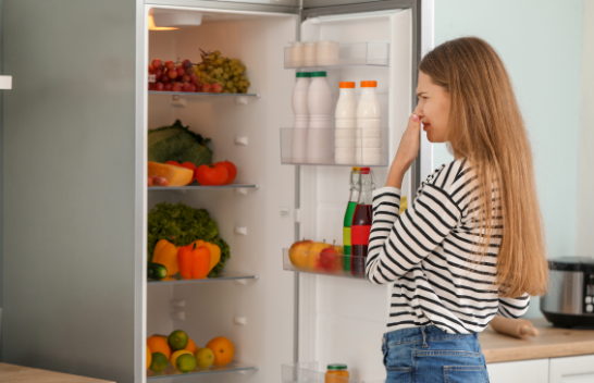 Largoni shumë lehtë erën e pakëndshme nga frigoriferi